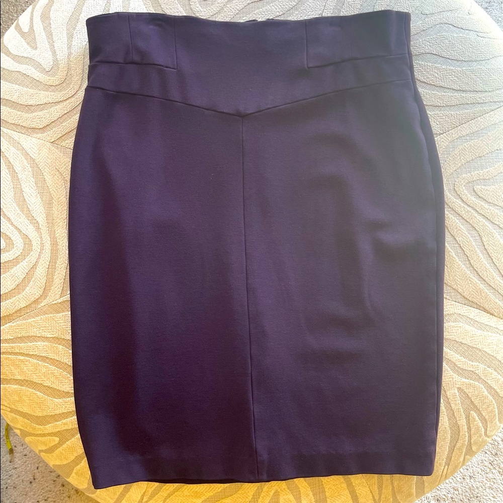 Ann Taylor Skirt